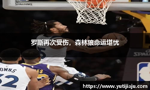 易倍emc体育平台